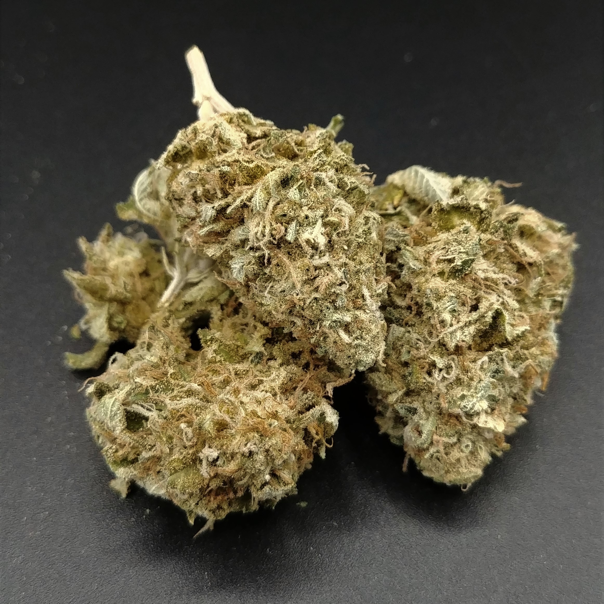 (REC) Guava